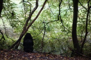 Femme assise de dos dans un bois
