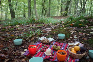 Une nappe est posée sur le sol de la forêt pour une séance de shinrin yoku