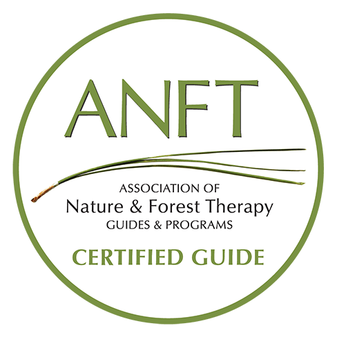Magda-est-une-guide-Shinrin-Yoku-certifiée